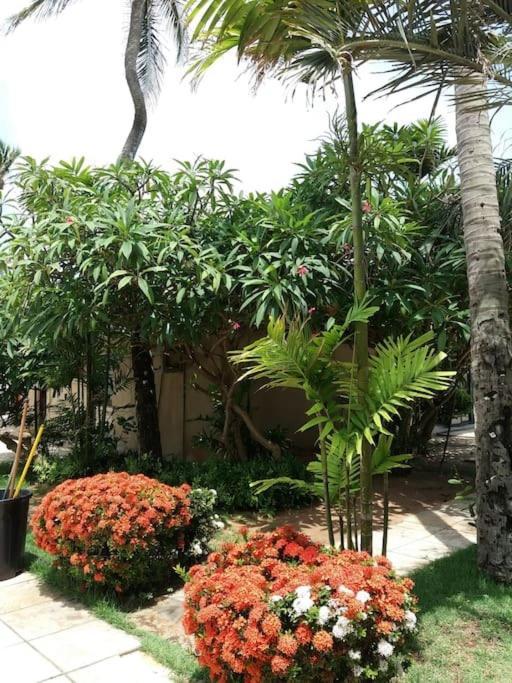 Eco Paradise Cumbuco 131 エクステリア 写真